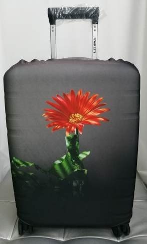 картинка Чехол для чемодана S ( Цветок) от магазина Компания+