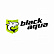Бренд BLACK AQUA в магазине BagStore24